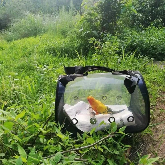 Bird Small Pets Carrier Breathable Travel Cage W/Perch Foldable Size Large New - Picture 8 of 13